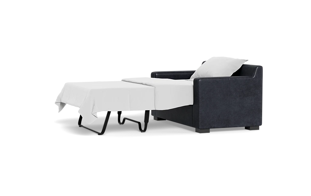 Sloan Leather Twin Sleeper Sofa Interior Define