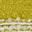 Back Fabric Options - Ephesus Citron