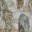 Back Fabric Options - Impression Cowrie