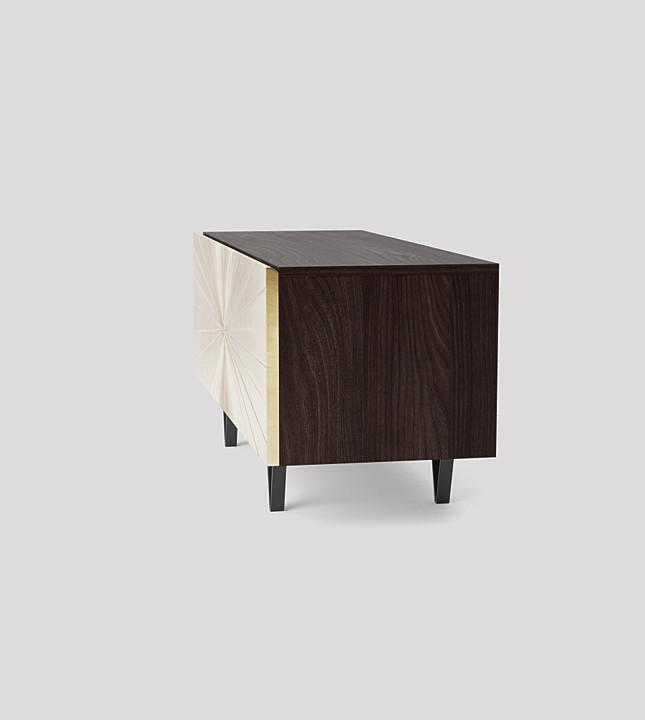 Ziggy Contemporary Cabinet in Brass & Dark Mango Wood