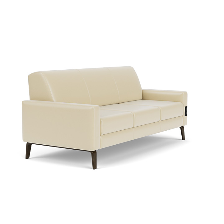 家具 Changed a sofa XIZZI 73