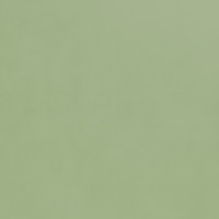 Pale Green Swatch