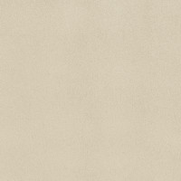 Ash Swatch