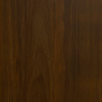 Mocha Swatch