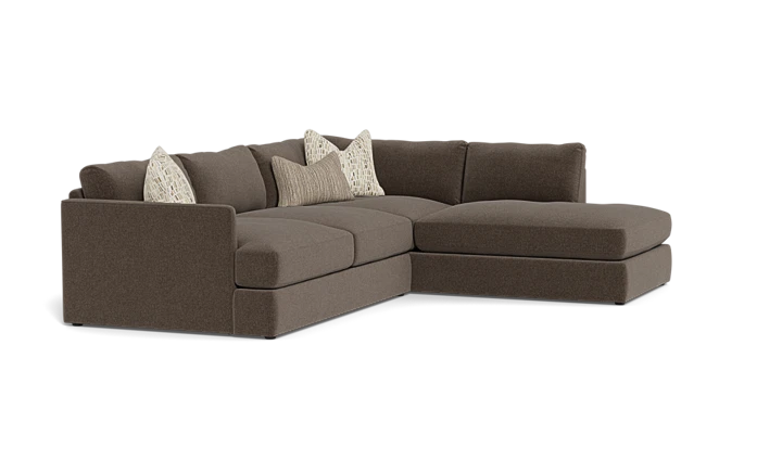 Leon 2-Piece Sectional Schneiderman's Furniture