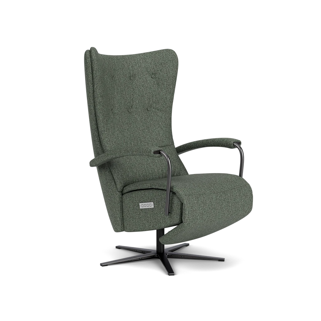 Relaxstoel C-101 Relaxstoel C-101