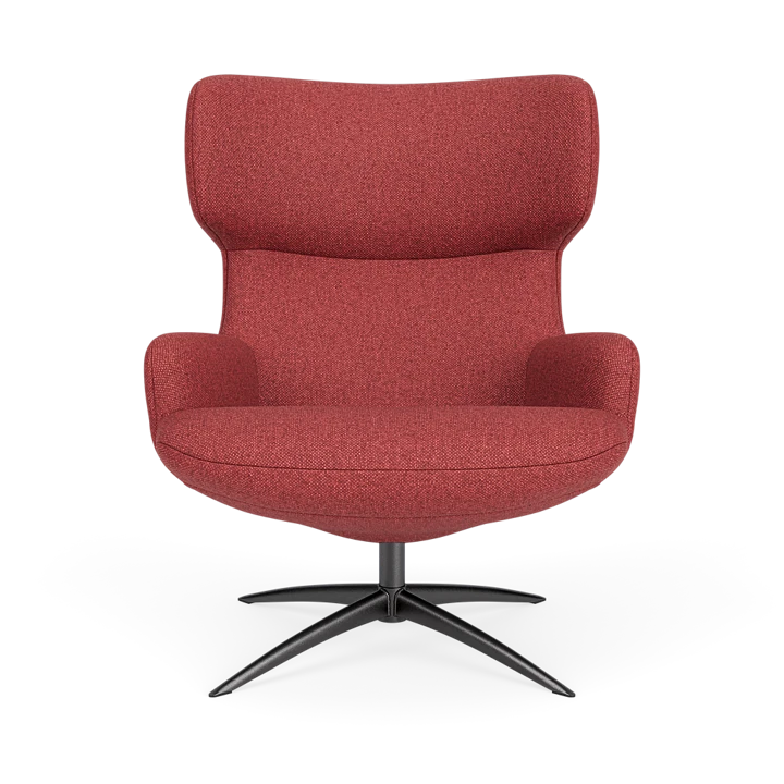 Bijzetfauteuil X-110