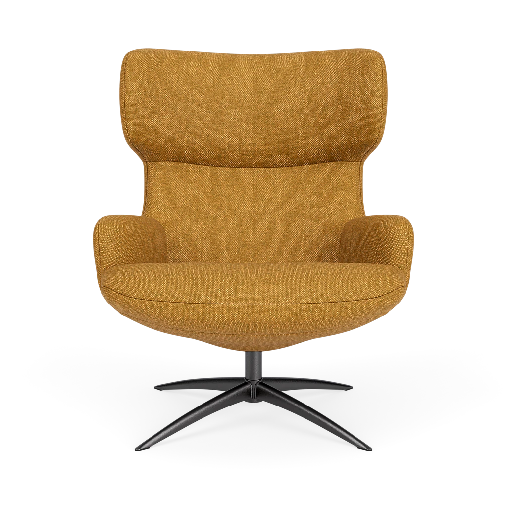 Bijzetfauteuil X-110