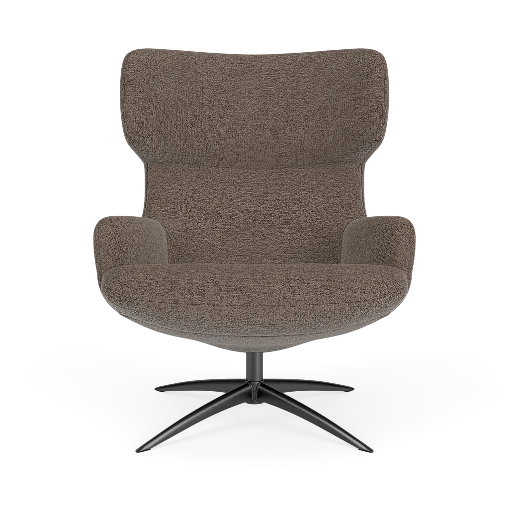 Bijzetfauteuil X-110 Bijzetfauteuil X-110