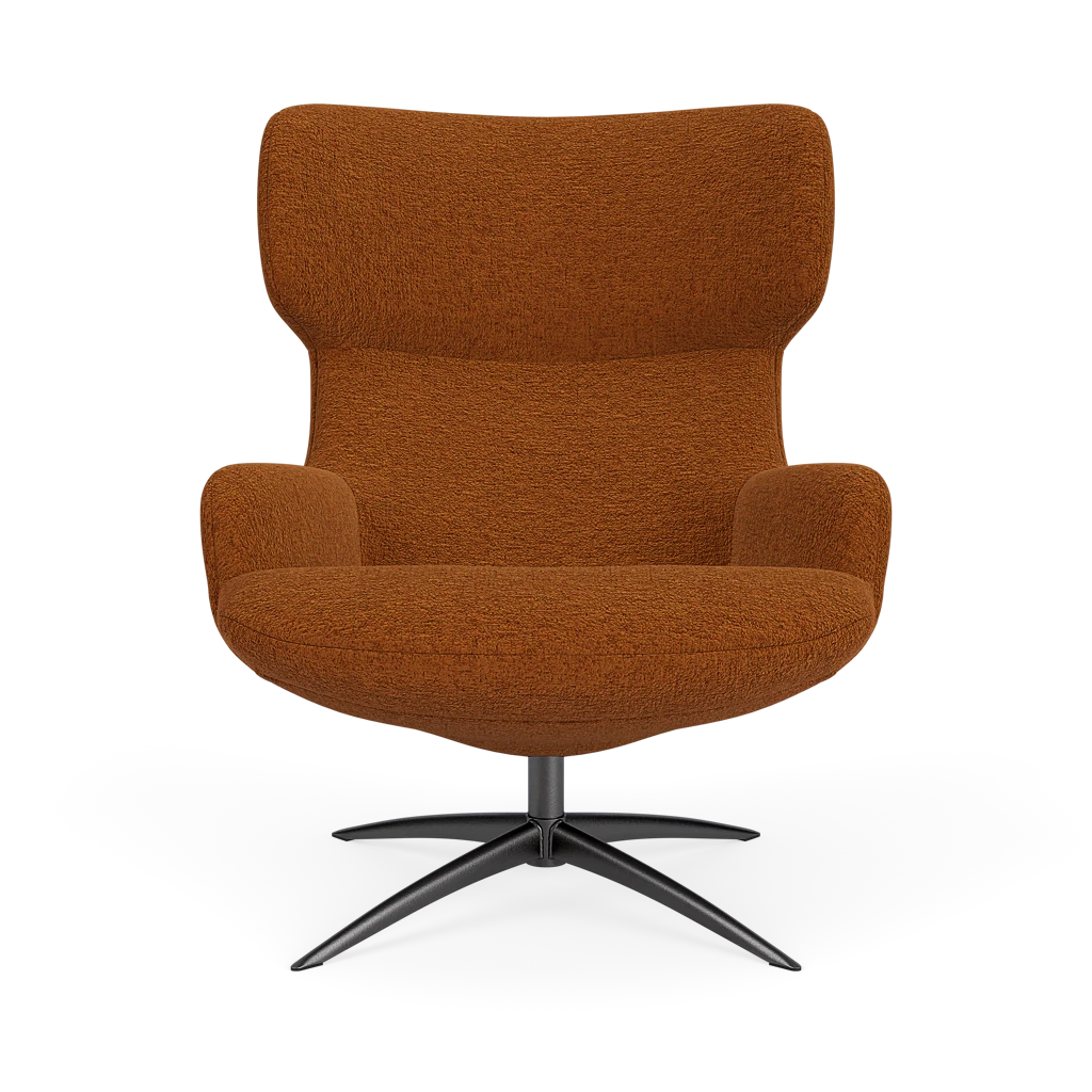 Bijzetfauteuil X-110 Bijzetfauteuil X-110