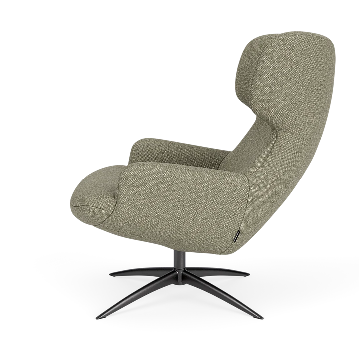 Bijzetfauteuil X-110