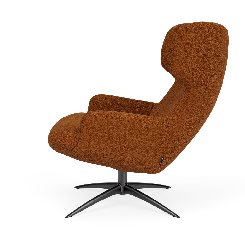 Bijzetfauteuil X-110