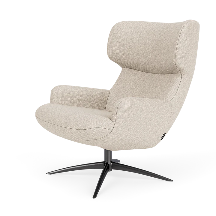 Bijzetfauteuil X-110
