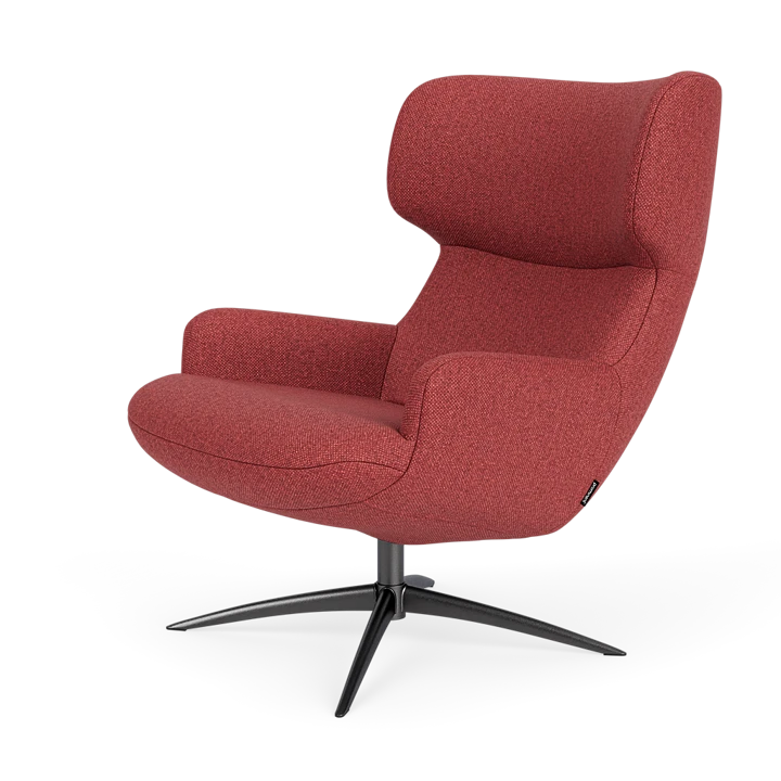 Bijzetfauteuil X-110
