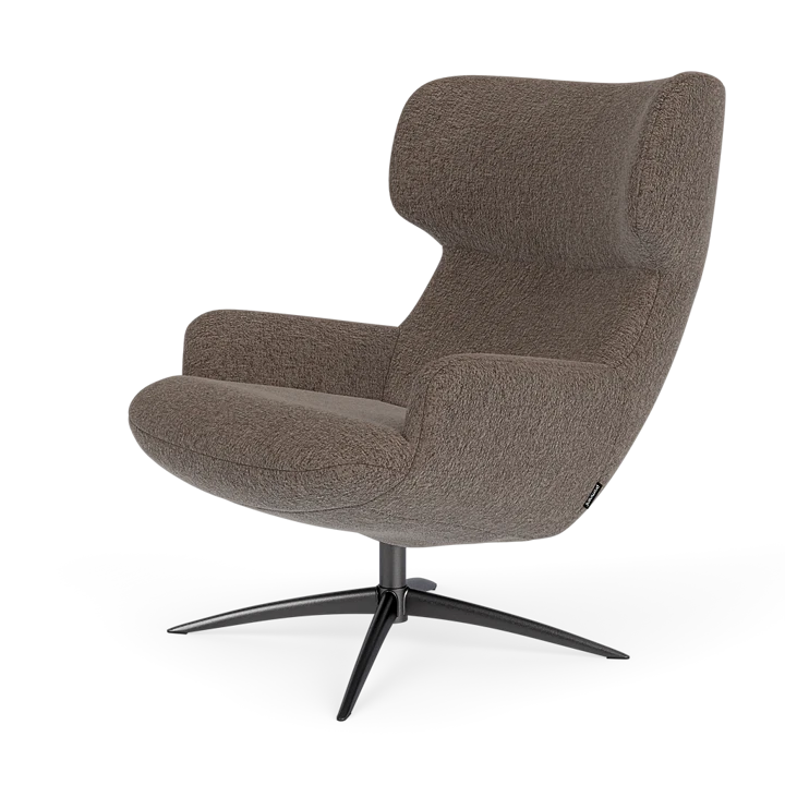 Bijzetfauteuil X-110