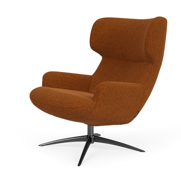 Bijzetfauteuil X-110