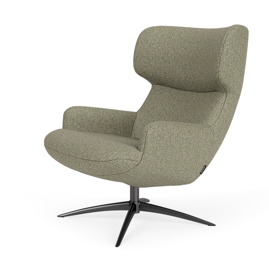 Bijzetfauteuil X-110
