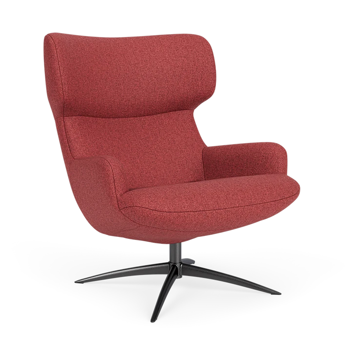 Bijzetfauteuil X-110