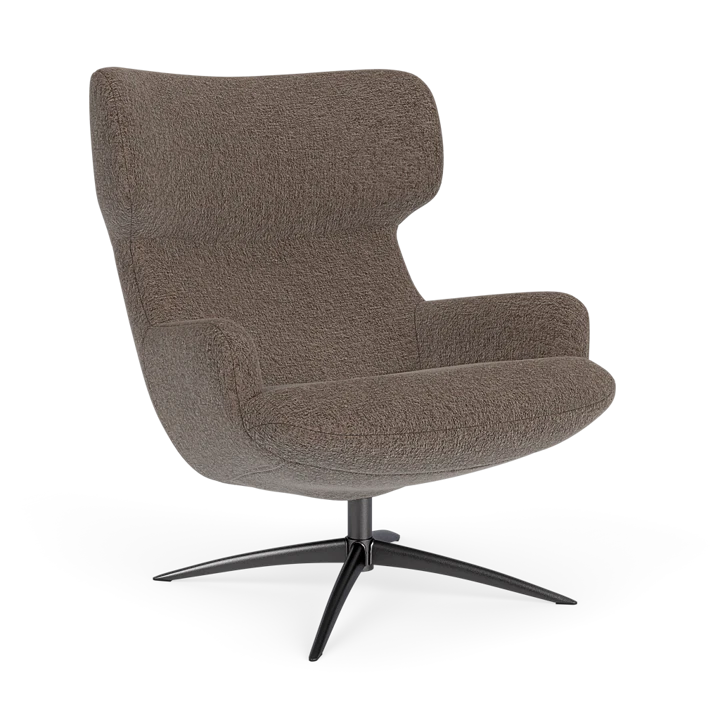 Bijzetfauteuil X-110