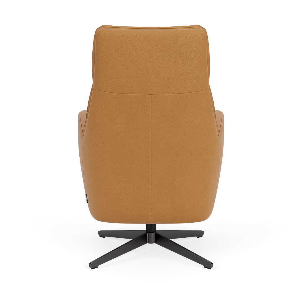 Draaifauteuil E-101