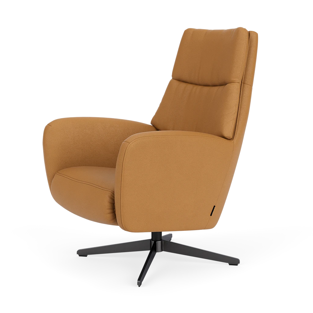 Draaifauteuil E-101