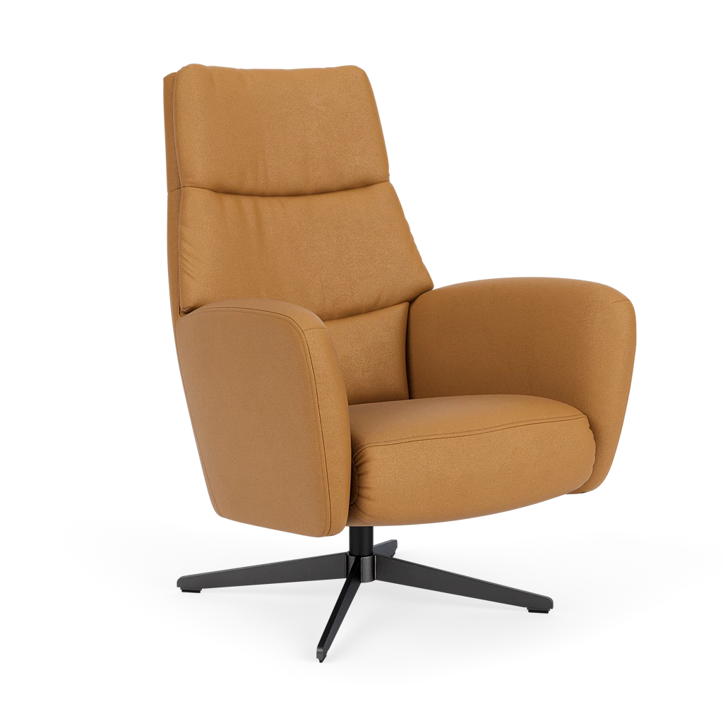 Draaifauteuil E-101