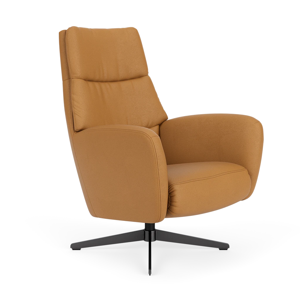 Draaifauteuil E-101 Draaifauteuil E-101