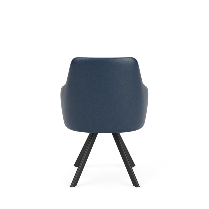 Eetkamerstoel D-101