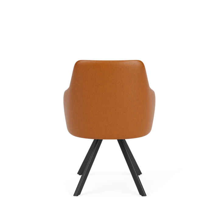 Eetkamerstoel D-101
