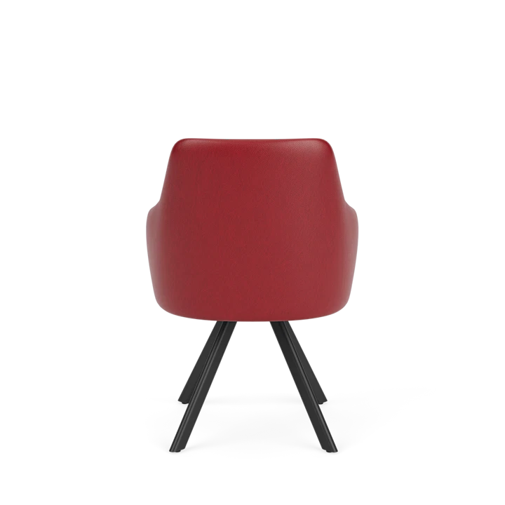 Eetkamerstoel D-101