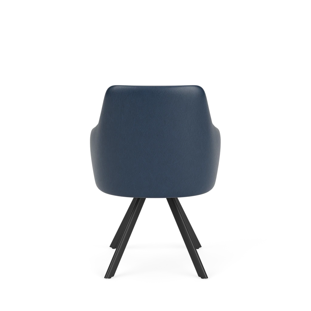 Eetkamerstoel D-101