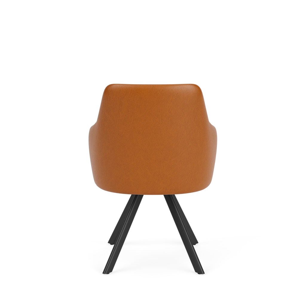 Eetkamerstoel D-101