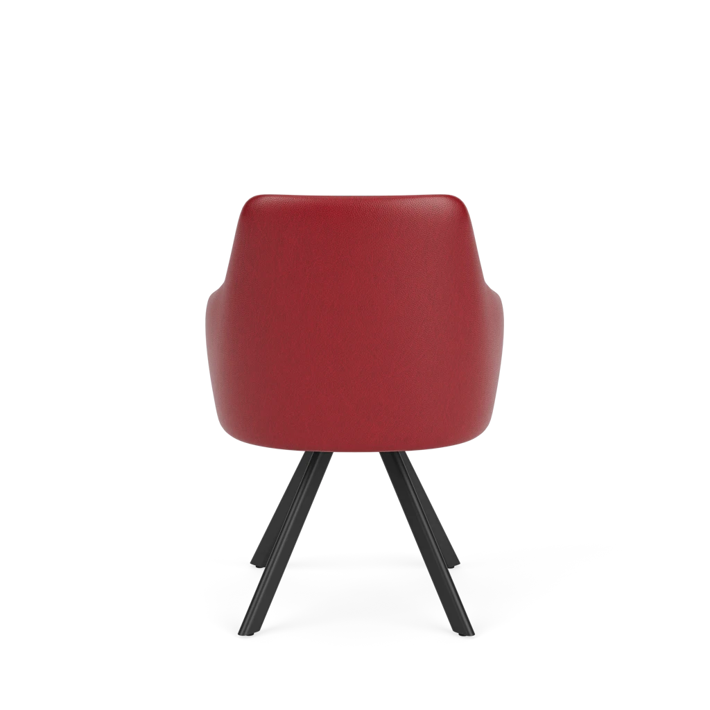 Eetkamerstoel D-101