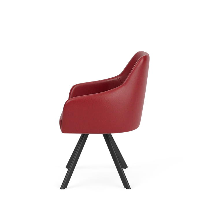 Eetkamerstoel D-101
