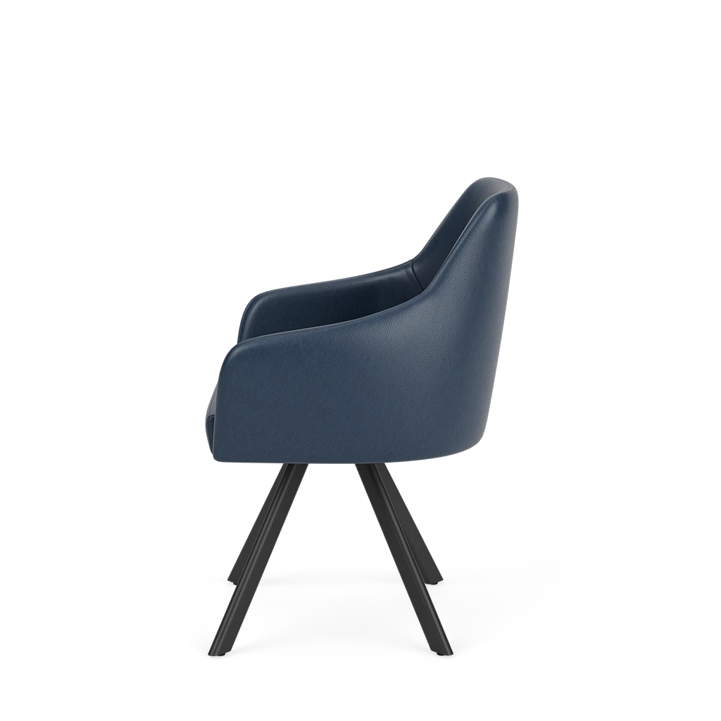 Eetkamerstoel D-101