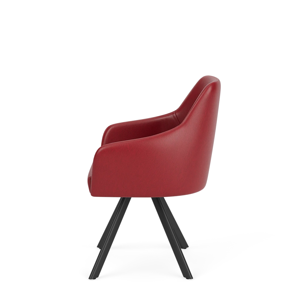 Eetkamerstoel D-101