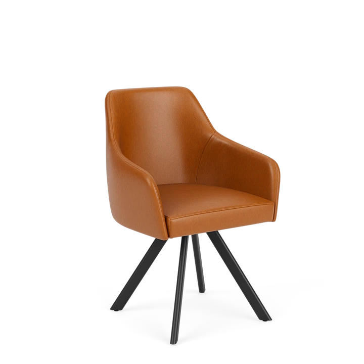 Eetkamerstoel D-101