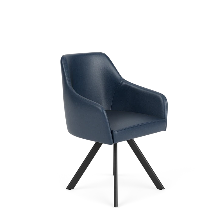 Product afbeelding voor Eetkamerstoel D-101