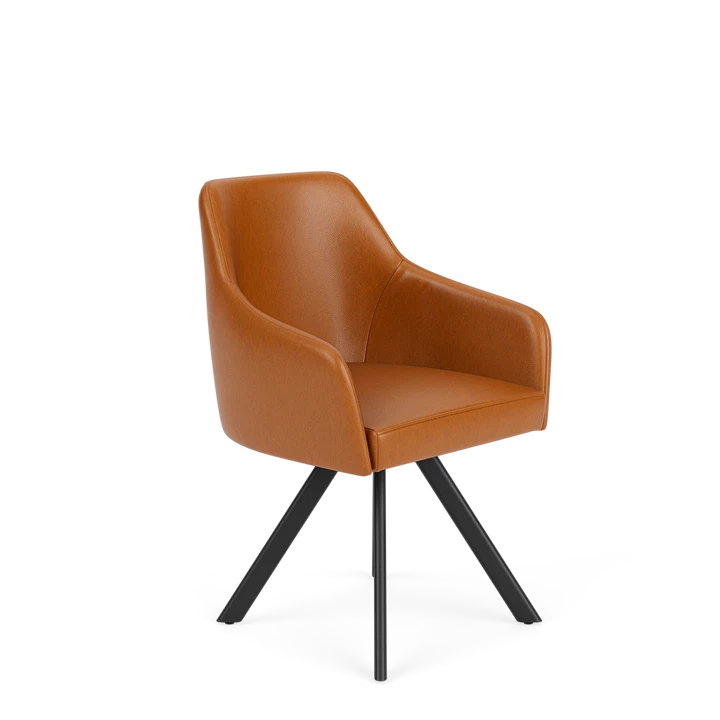 Product afbeelding voor Eetkamerstoel D-101
