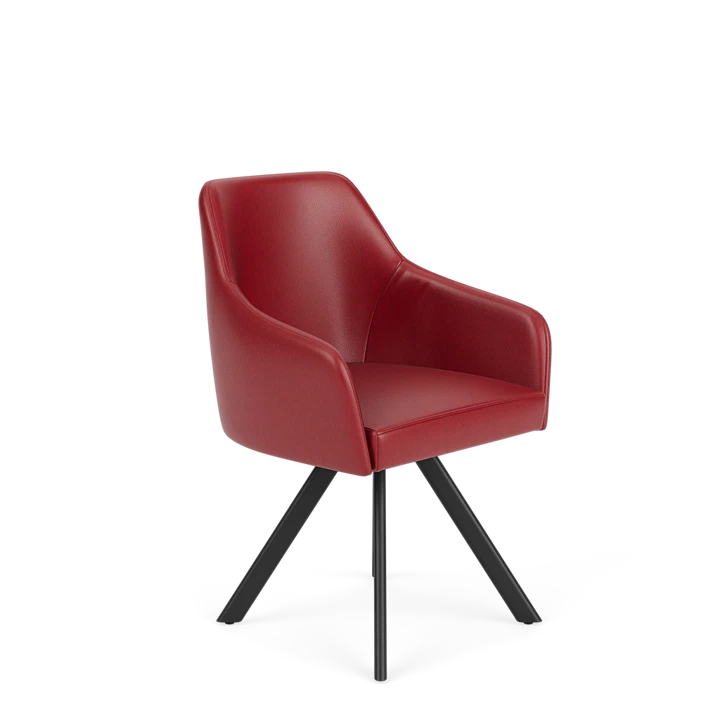 Product afbeelding voor Eetkamerstoel D-101