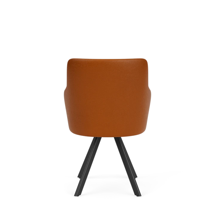 Eetkamerstoel D-102