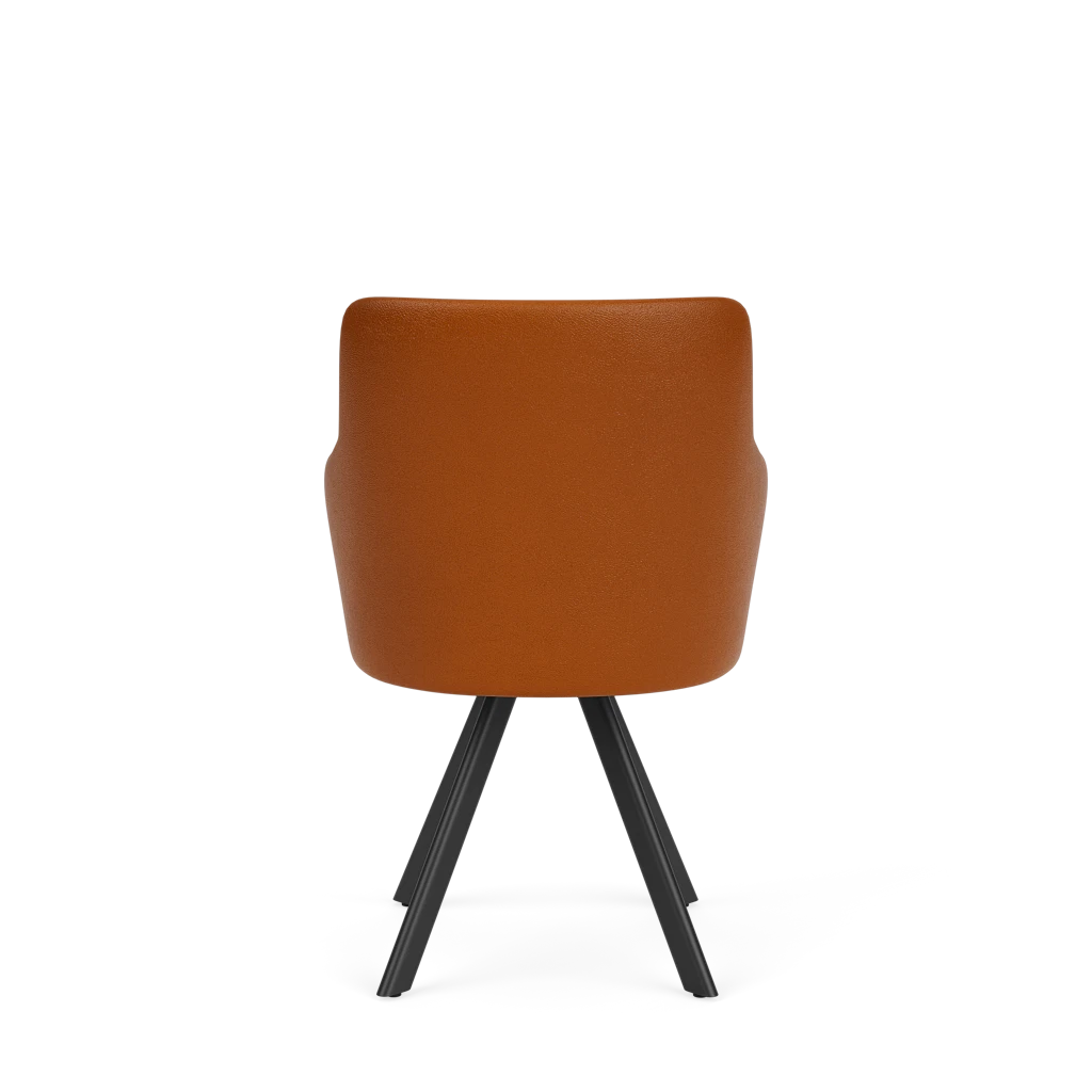 Eetkamerstoel D-102