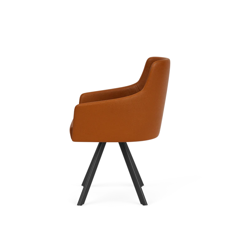 Eetkamerstoel D-102