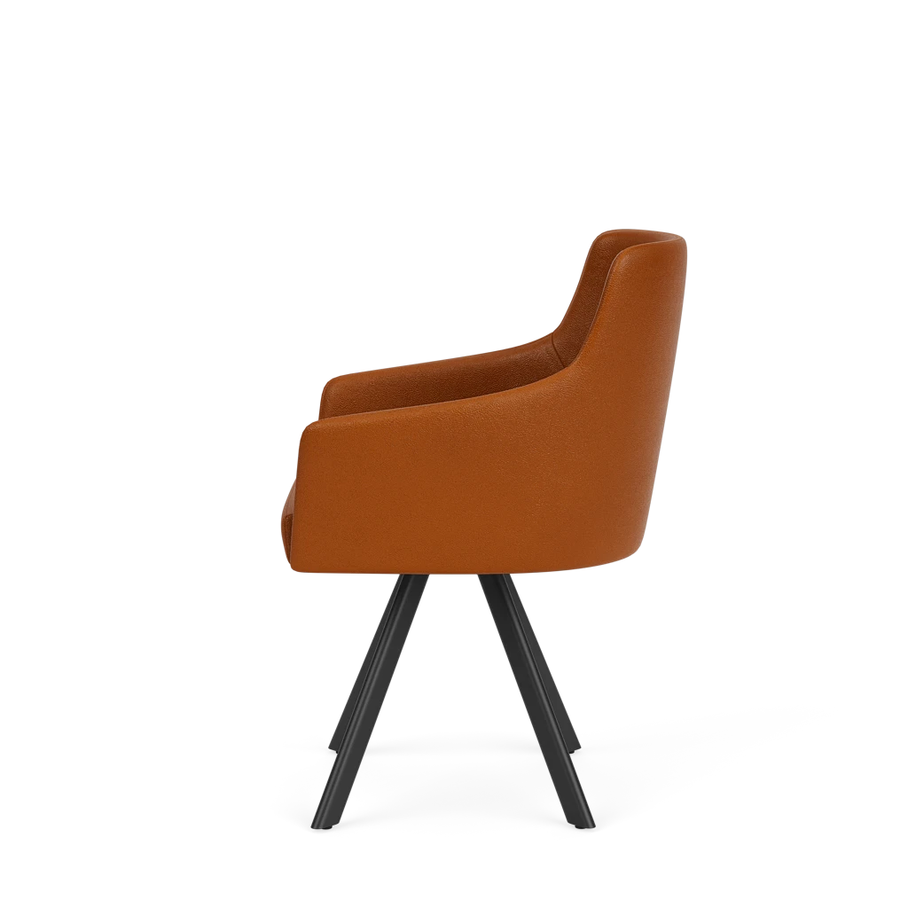 Eetkamerstoel D-102