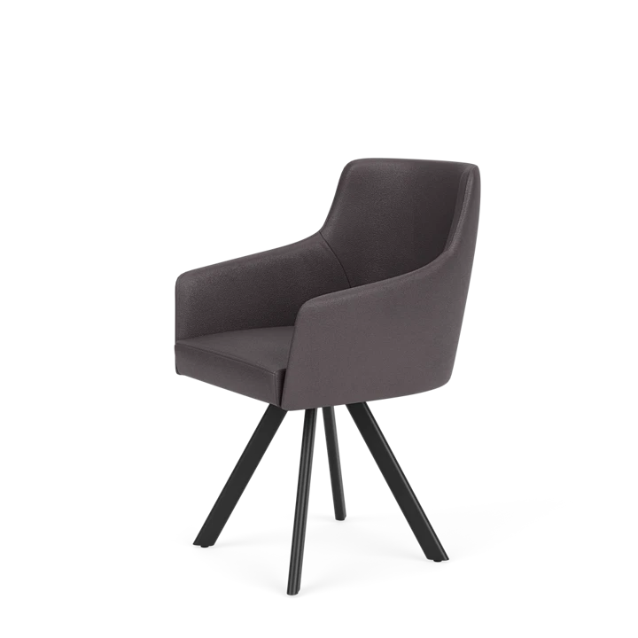 Eetkamerstoel D-102