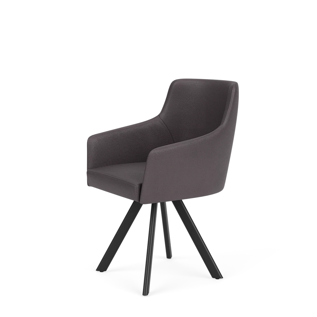 Eetkamerstoel D-102