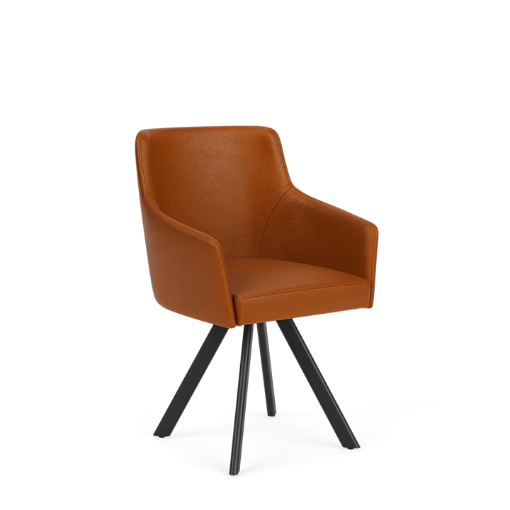 Eetkamerstoel D-102