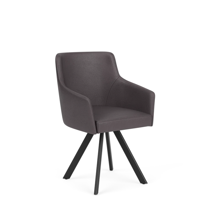 Eetkamerstoel D-102