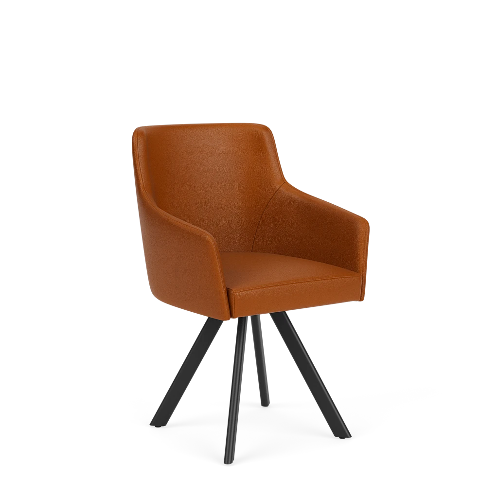 Eetkamerstoel D-102