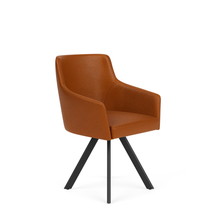 Product afbeelding voor Eetkamerstoel D-102